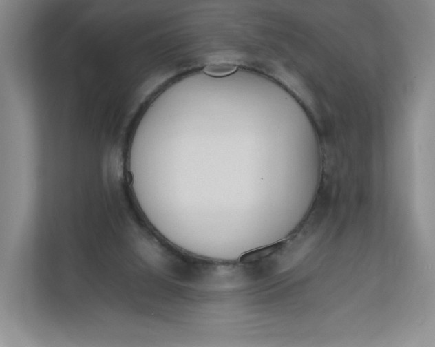 X0000111950060200908171326