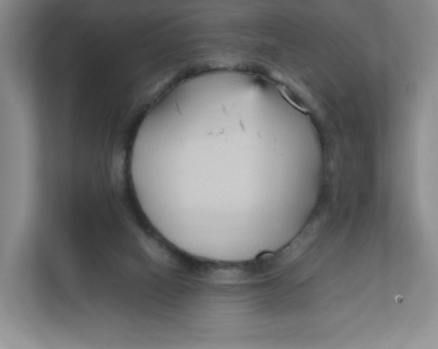 X0000111950066200908171326