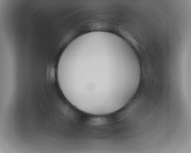 X0000111950067200908171326
