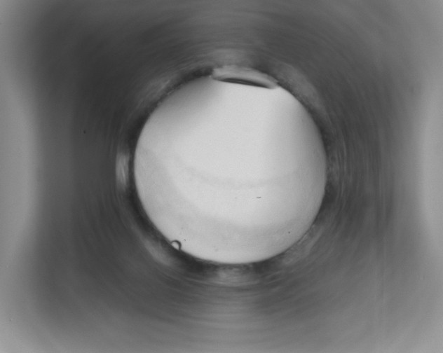 X0000111950070200908171326