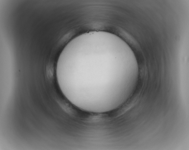 X0000111950072200908171326