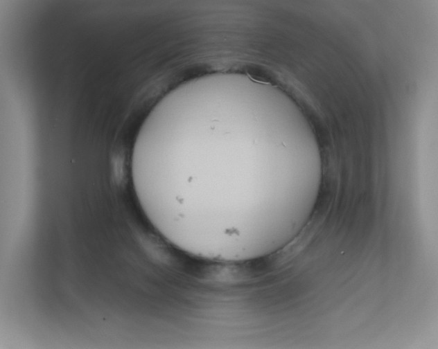 X0000111950074200908171326