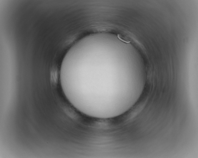 X0000111950076200908171326