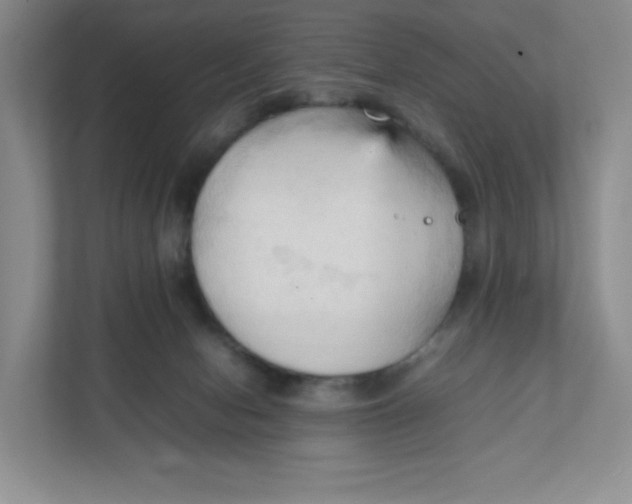 X0000111950078200908171326