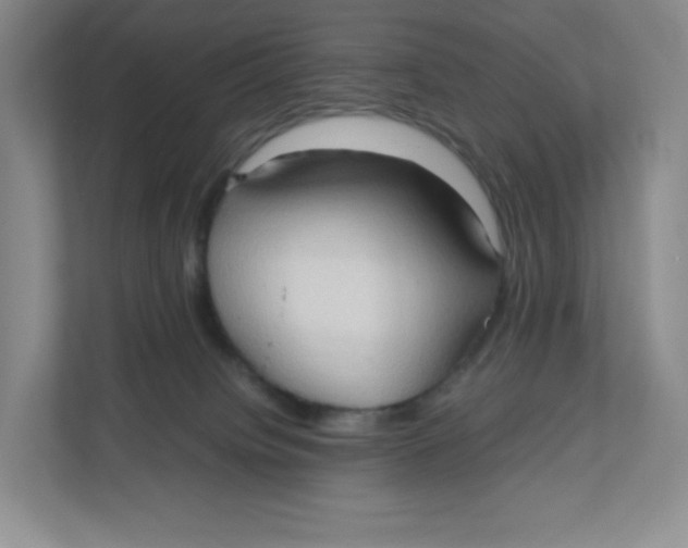 X0000111950084200908171326