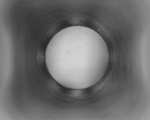 X0000111950085200908171326