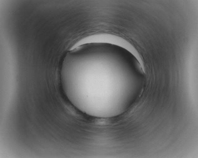 X0000111950088200908171326