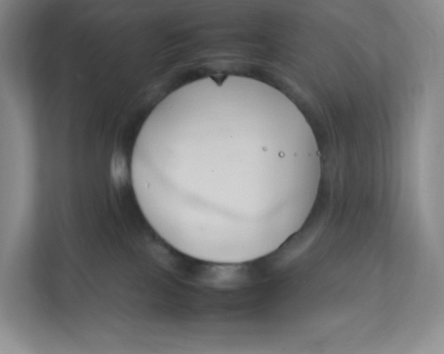 X0000111950089200908171326