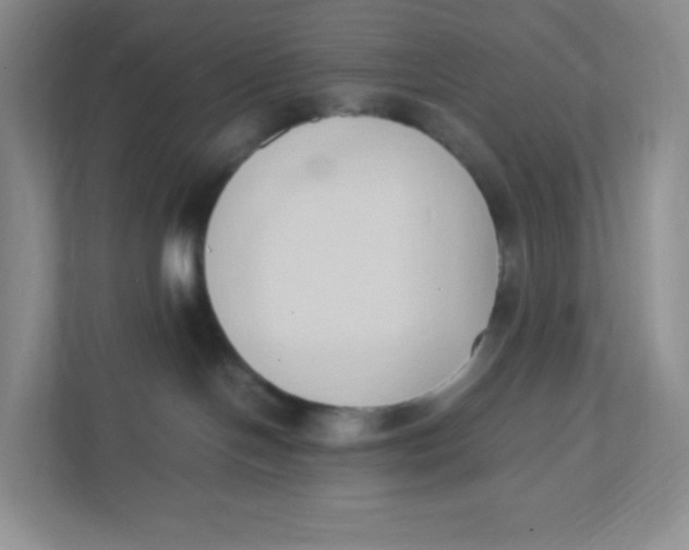 X0000111950094200908171326