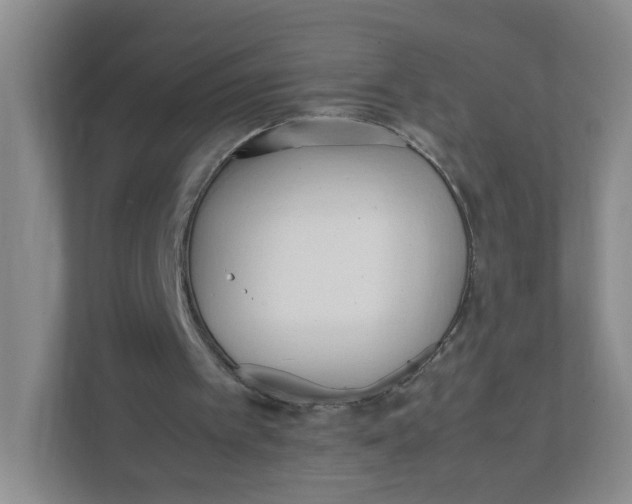 X0000111950097200908171326