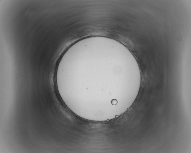 X0000111950098200908171326