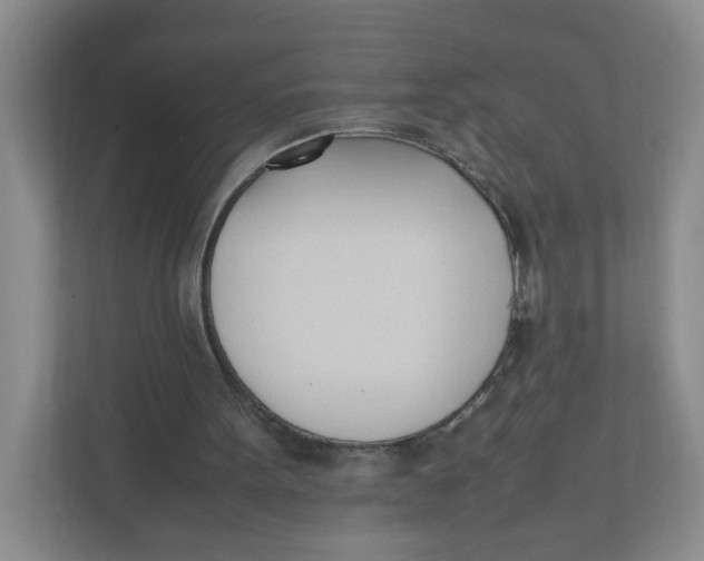X0000111950099200908171326