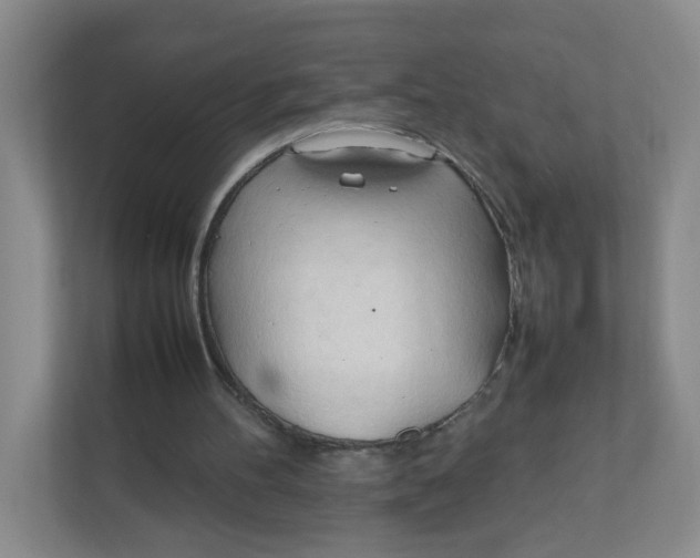 X0000111950100200908171326