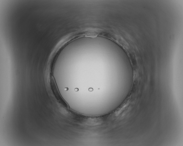 X0000111950101200908171326