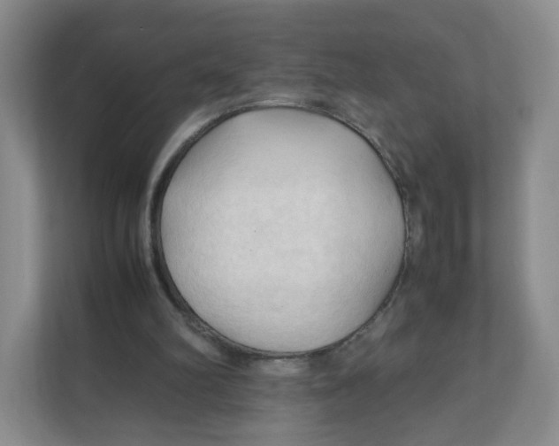 X0000111950102200908171326