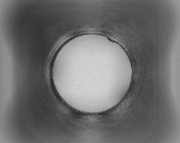 X0000111950103200908171326
