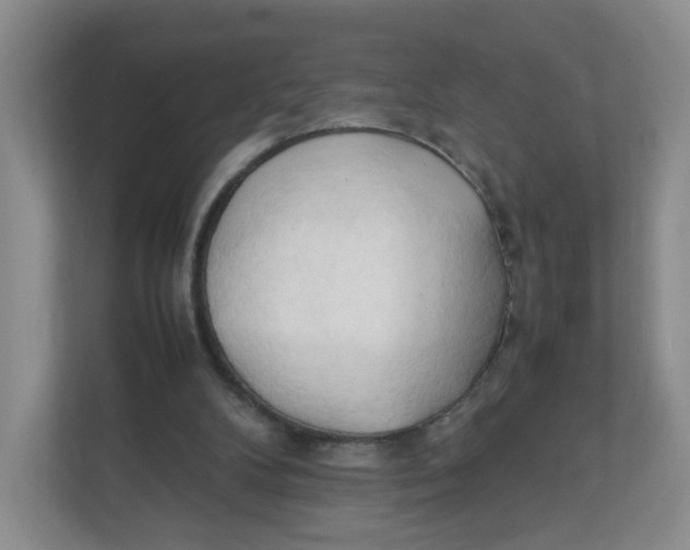 X0000111950104200908171326