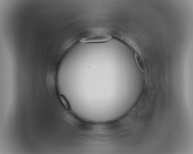 X0000111950105200908171326