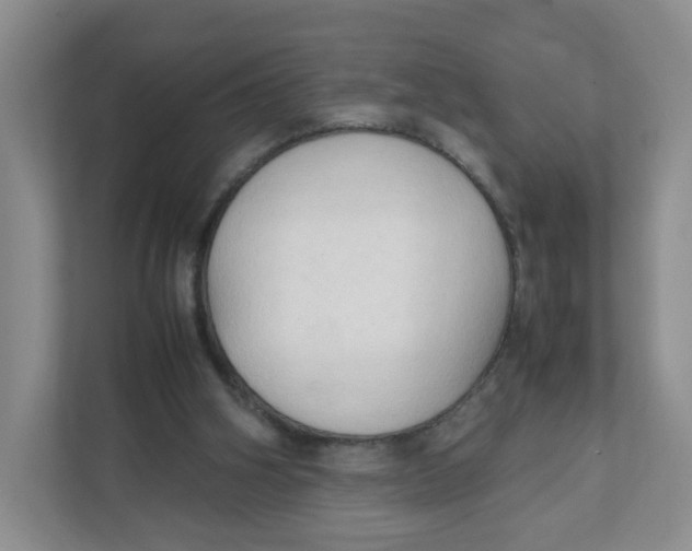 X0000111950106200908171326