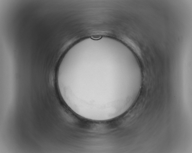 X0000111950107200908171326