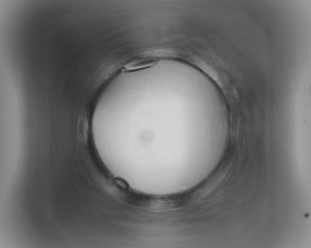 X0000111950109200908171326