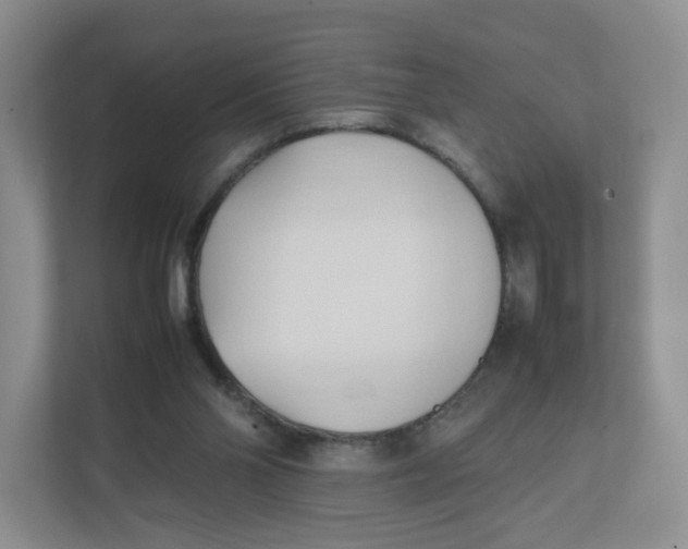 X0000111950110200908171326