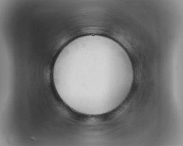 X0000111950111200908171326