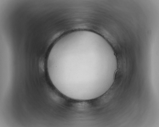 X0000111950112200908171326