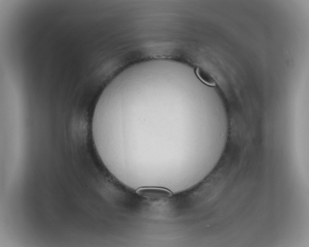 X0000111950113200908171326