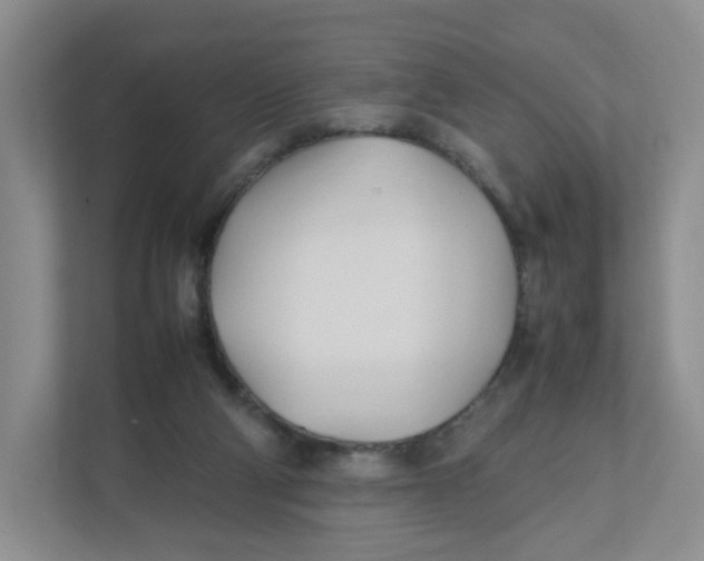 X0000111950114200908171326