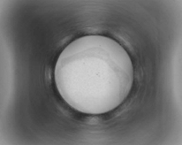 X0000111950115200908171326