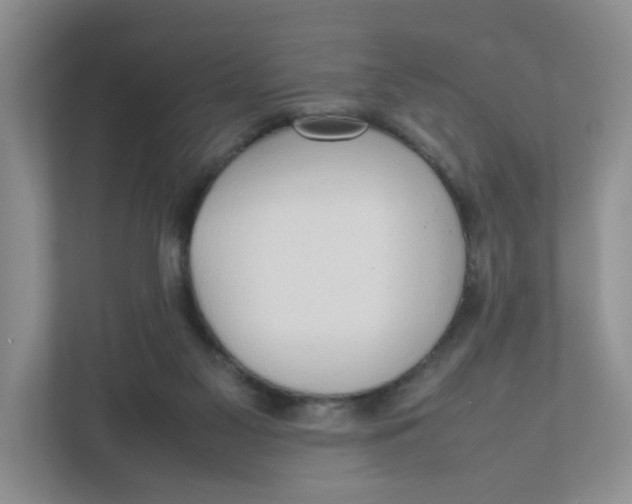 X0000111950117200908171326