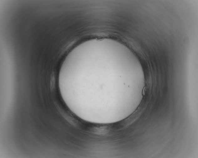 X0000111950120200908171326