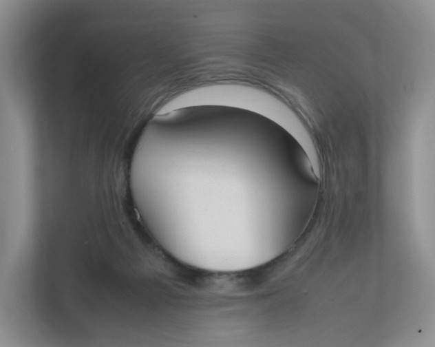X0000111950121200908171325