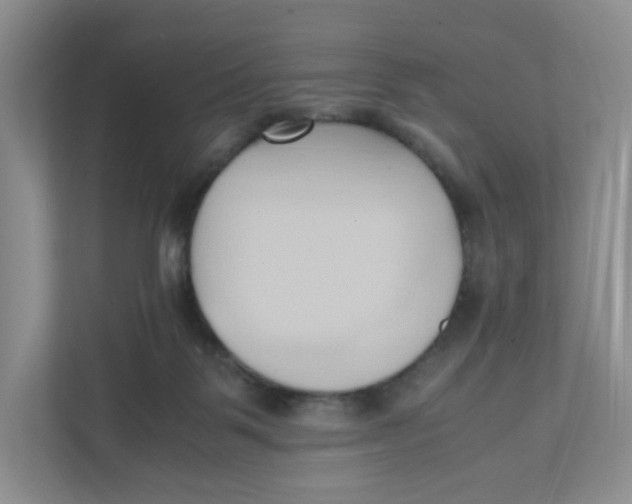 X0000111950123200908171325