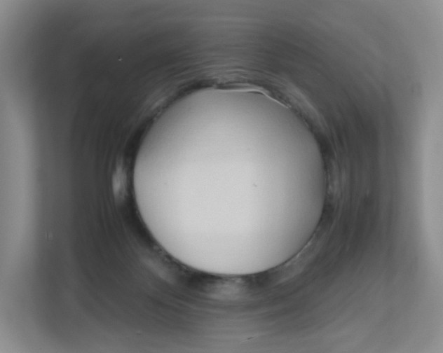 X0000111950124200908171325