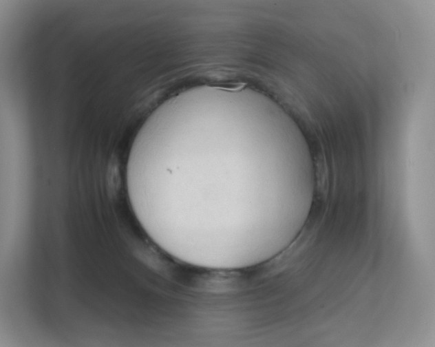 X0000111950128200908171325