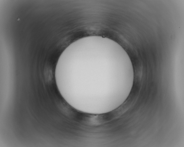 X0000111950130200908171325