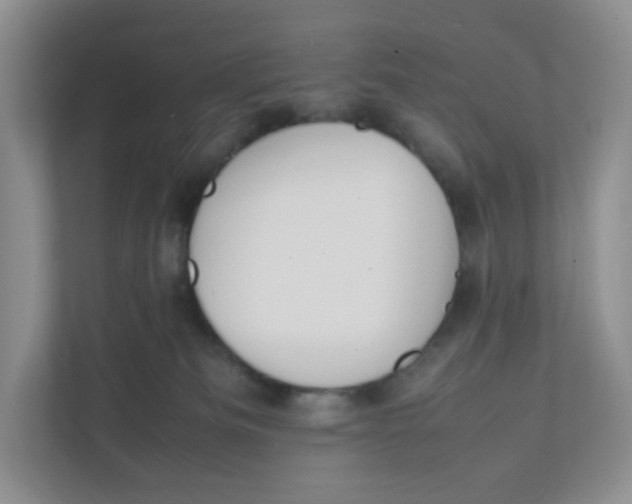X0000111950133200908171325