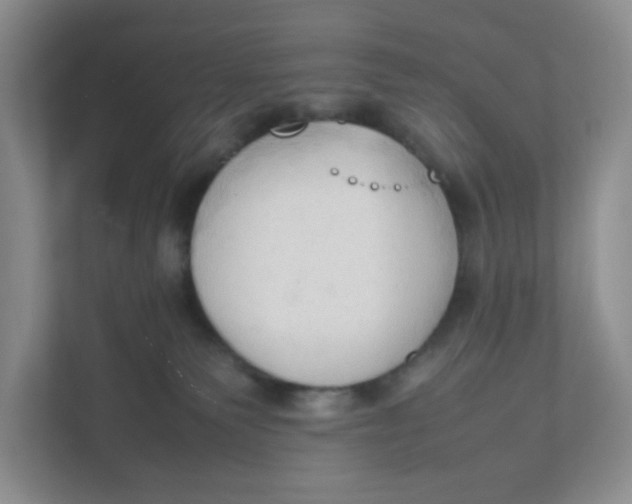 X0000111950135200908171325