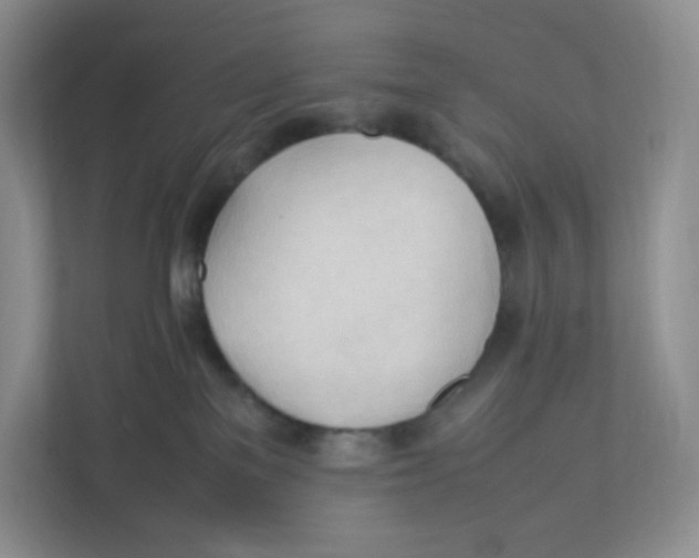 X0000111950137200908171325