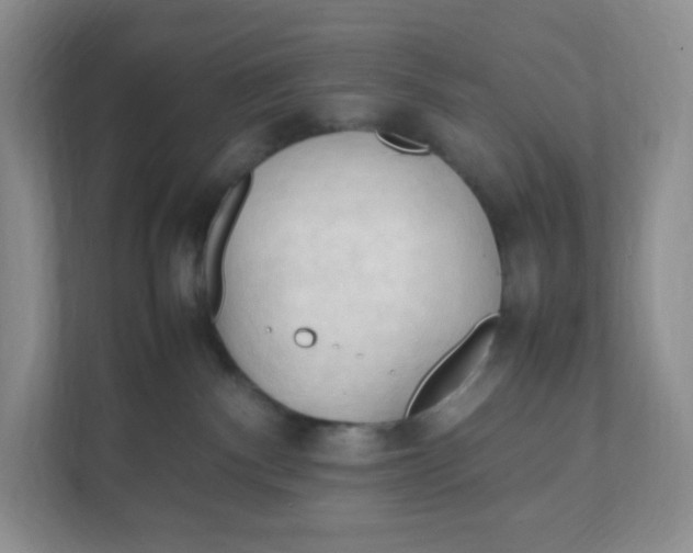 X0000111950140200908171325
