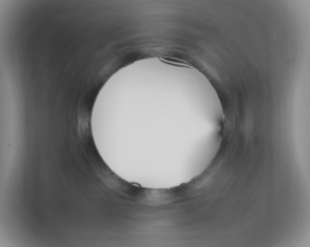 X0000111950141200908171325