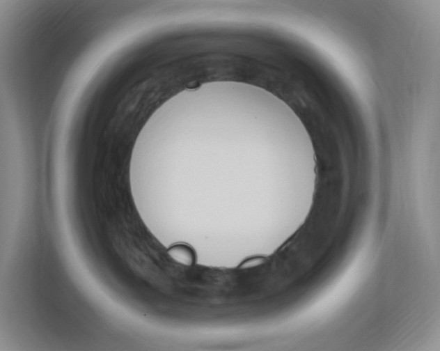 X0000111950143200908171325