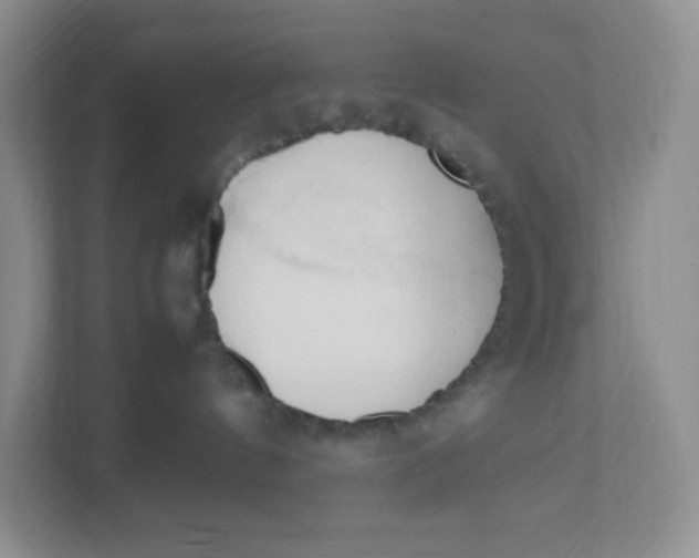 X0000111950144200908171325
