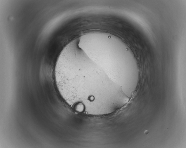 X0000111950146200908171325