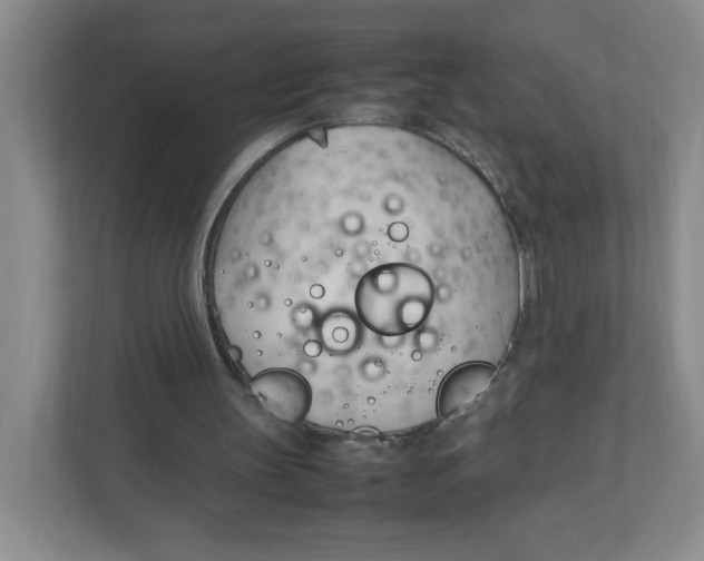 X0000111950147200908171325