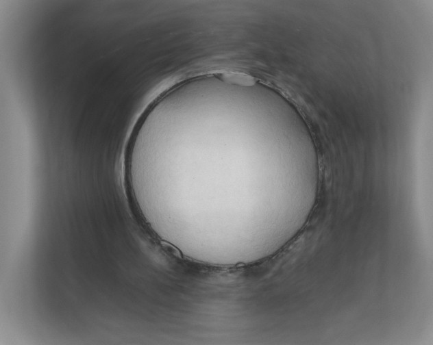X0000111950148200908171325