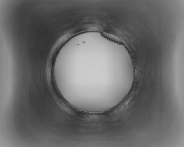 X0000111950149200908171325