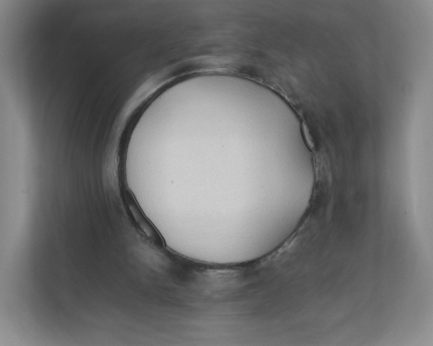 X0000111950150200908171325